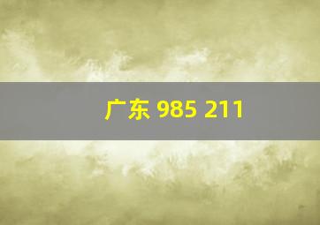 广东 985 211